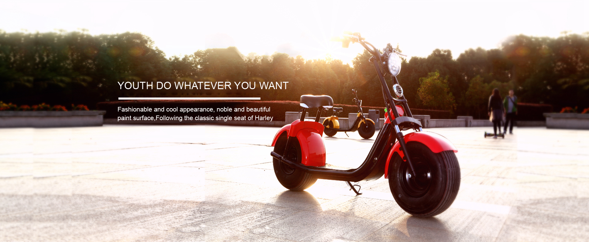Qiaoshan Industry And Trade-Yongkang Qiaoshan-Citycoco Scooter-Yongkang Qiaoshan Industry And Trade Co., Ltd.